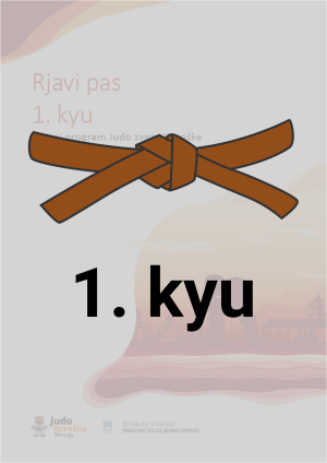 1. kyu - Rjavi pas